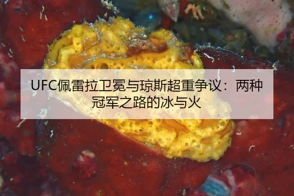 pei-lei-la-wei-mian-yu-qiong-si-chao-zhong-zheng-yi-liang-zhong-guan-jun-zhi-lu-de-bing-yu-huo-2-124.jpg