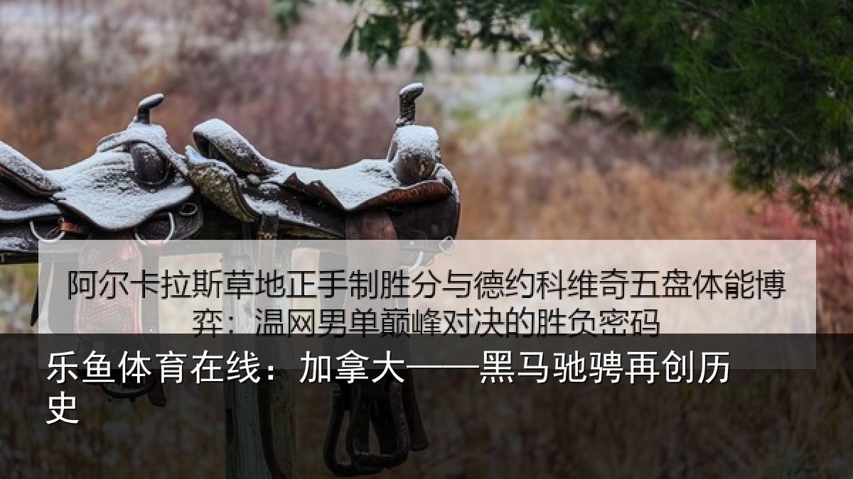 乐鱼体育在线:加拿大——黑马驰骋再创历史