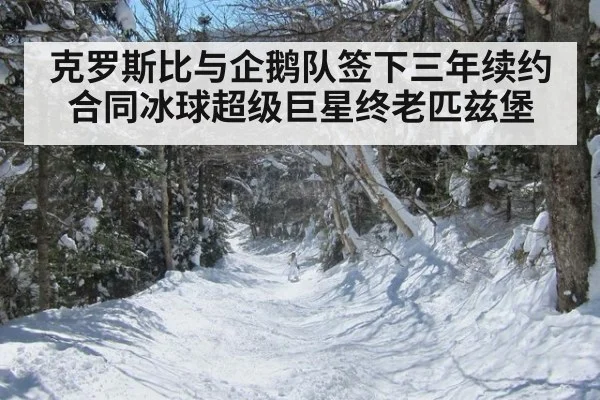 克罗斯比与企鹅队签下三年续约合同冰球超级巨星终老匹兹堡
