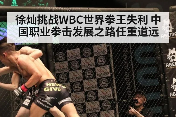 徐灿挑战WBC世界拳王失利 中国职业拳击发展之路任重道远